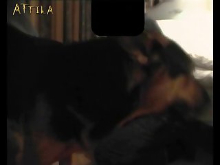 Zoofilia Por El Culo