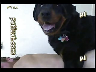 Zoofilia Discord