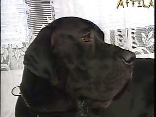 Nanette With Andy And Dog In Animal Lovers 14 Danish Master Dog