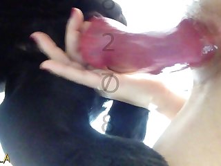 Hailey Rose Porn Xxx