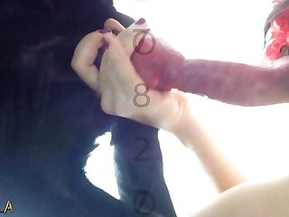 Hailey Rose Porn Xxx