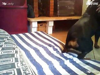 Porn Hot Xxx Sexy Video