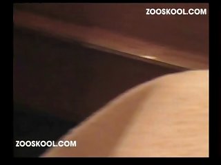 Free Erotic Sex Porn Xxx