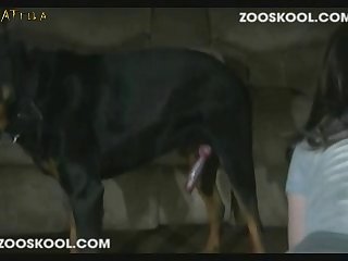 Xxx Porn Indian Web Series