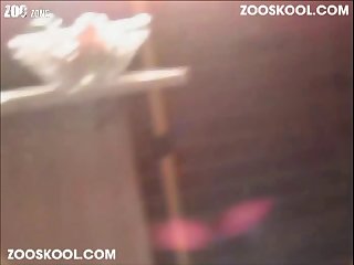 Hard Lesbian Orgy Porn Xxx