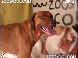 Xxx Porn Teen Hd Video