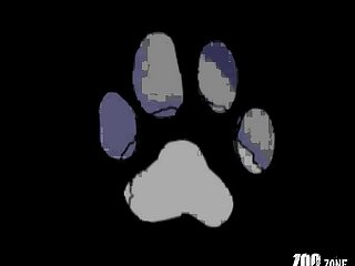 Ava Love Porn Xxx Porn