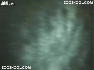 Rashmika Mandanna Xxx Porn Sex