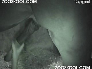 Sleeping Porn Tube Xxx