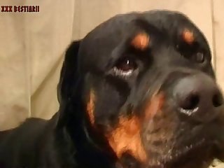 Xxx Indian Porn Star Hd