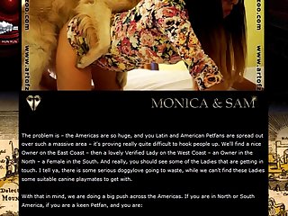 Xxx Pregnant Porn