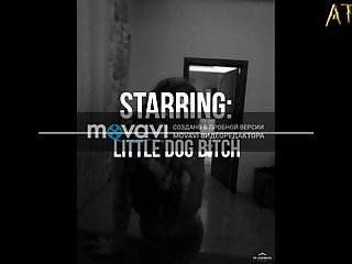Xxx Porn Scissoring