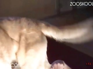 Pussy Licking Massage Porn Xxx