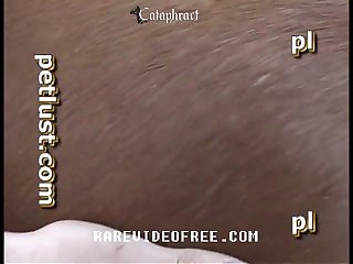 Naked Anime Cosplay Porn Xxx