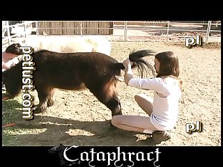 Xxx Videos Porn Family