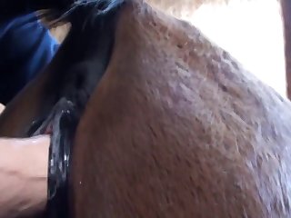 Xxx Porn Telegram Channels