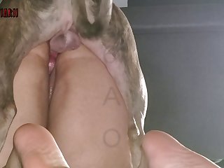 Xxx African American Porn