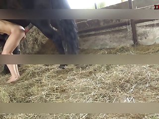 Xxx Porn Full Film