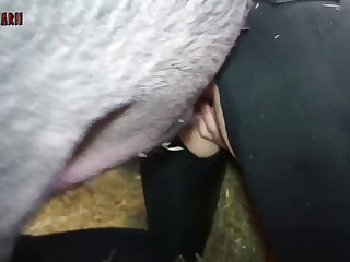 Porn Foto Xxx