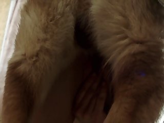 Aimi Yoshikawa Xxx Porn