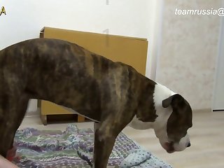 Porn Xxx Brandi Love