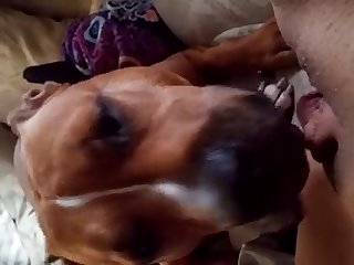 Chopra Xxx Porn