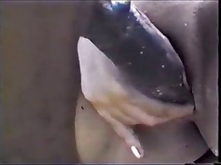 Indion Xxx Porn