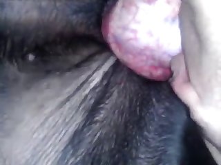Pari Tamang Xxx Porn