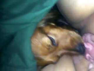 Jordi Enp Xxx Porn