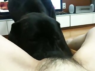 Artsy Scarlett Webcam Xxx Porn