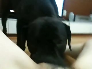 Artsy Scarlett Webcam Xxx Porn