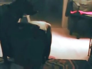 Best Porn Xxx Hd