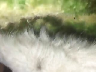 Xxx Hd Porn Gifs