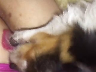 Xxx Hd Porn Gifs