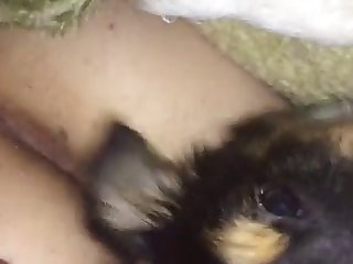 Xxx Hd Porn Gifs