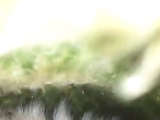 Xxx Hd Porn Gifs