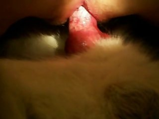 Xxx Anal Free Porn