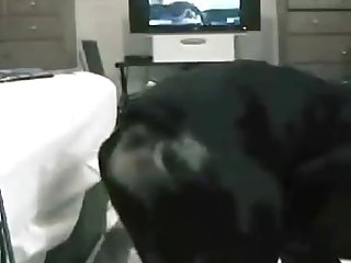 Valentine Xxx Porn