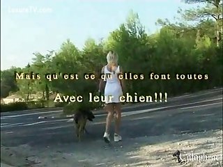 Animal Zoo Porn Free