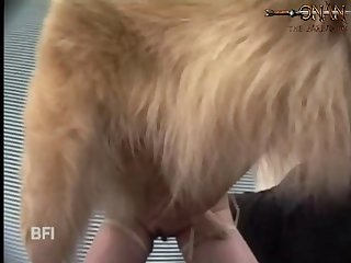 Animal Sex With Beautiful Girl