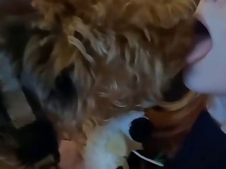 Dog Kiss