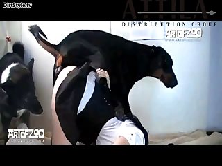 Art Of Zoo Vixen Double Trouble