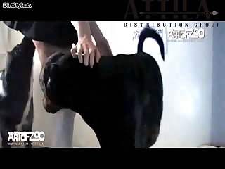 Art Of Zoo Vixen Double Trouble