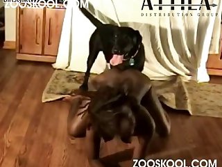 Zooskool Baby Baby Gets It