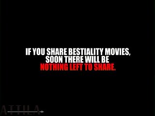 Zooskool Angelina Big Boy