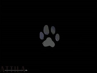 Zooskool Angelina Big Boy