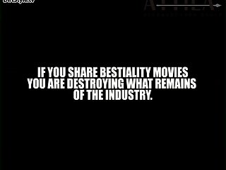 Zooskool Baby Baby Gets It