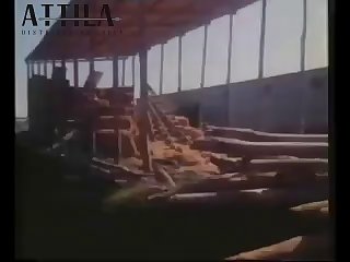 Il Vizio Nel Ventre Marina Lotar Karin Schubert A