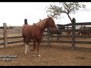 November 2014 Scene 03