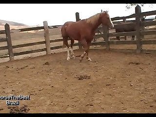 November 2014 Scene 03